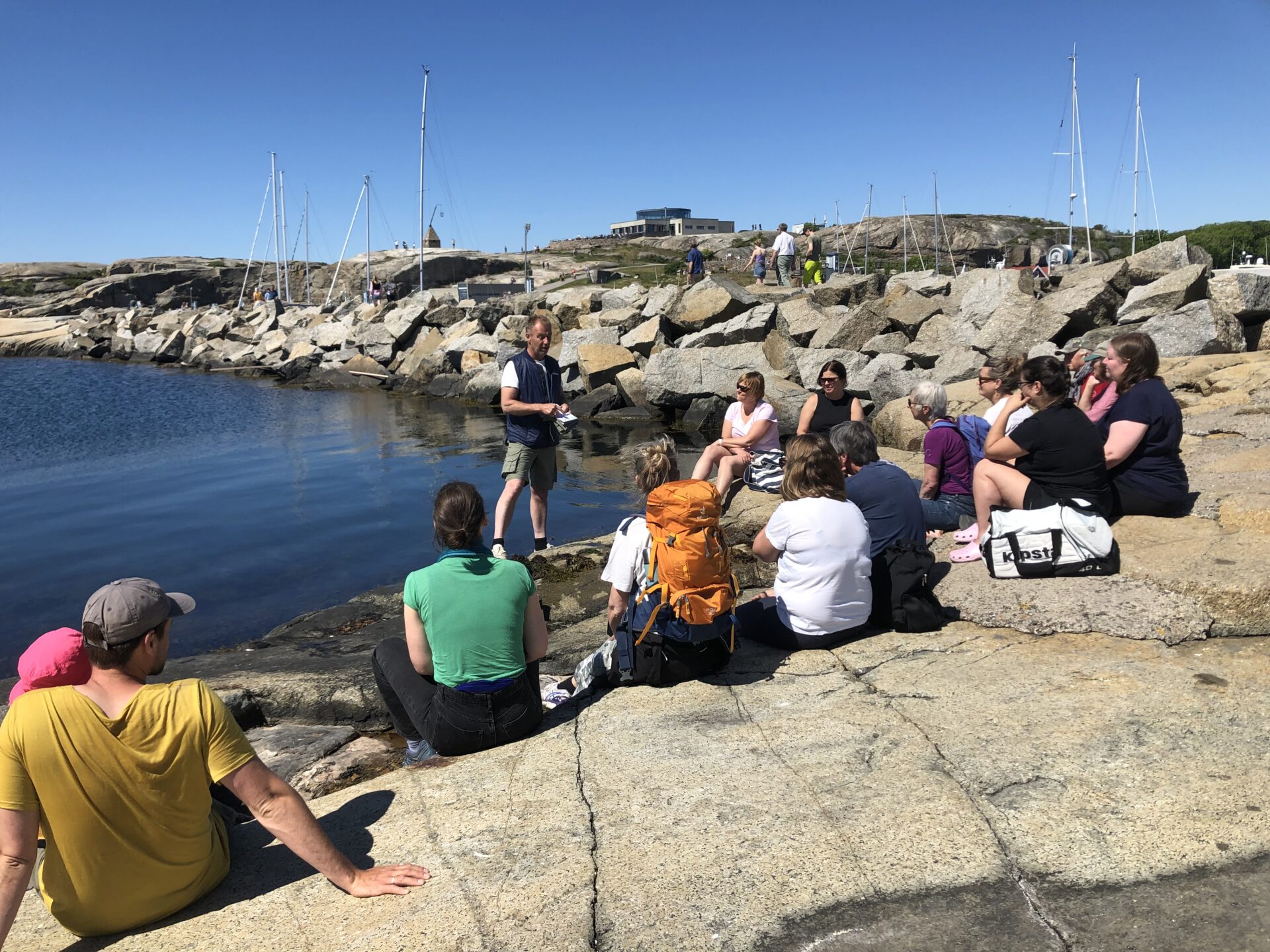 Skreddersydde kurs om tang og tare i maten.